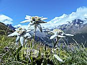 Nikon Z6 Nikkor 80-400mm